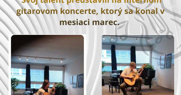 Interny gitarovy koncert 1